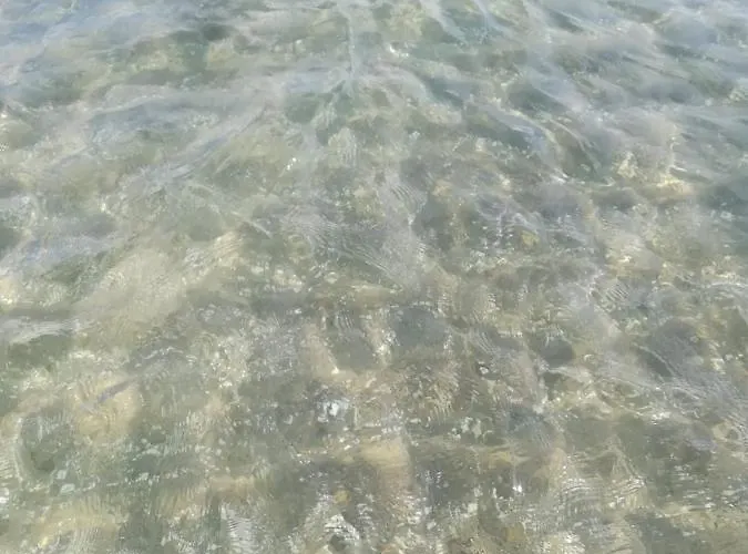 Lattanzio's * Margherita Di Savoia