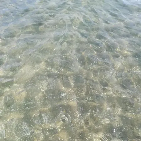 Lattanzio's * Margherita Di Savoia